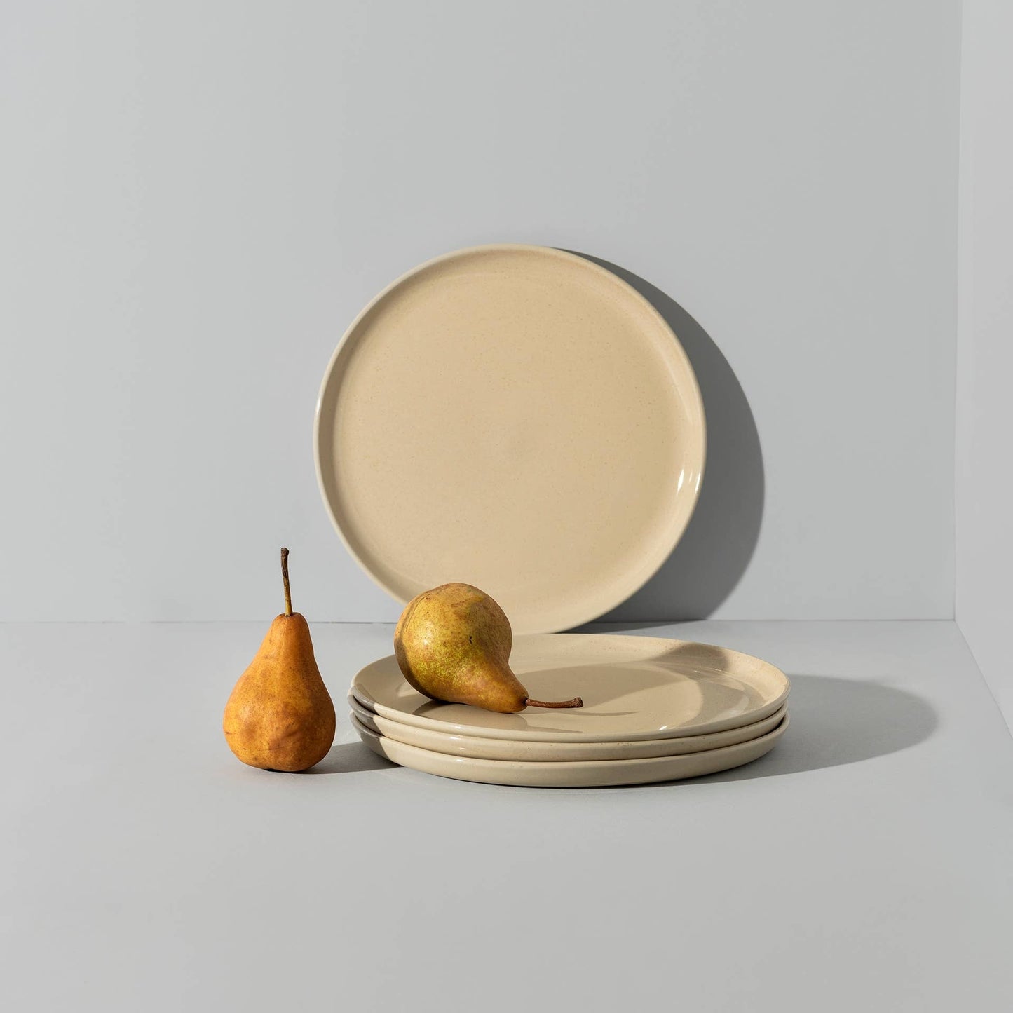 Stoneware Flat Salad/Dinner Plate, 9.4" | Speckled Cream